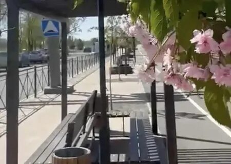 Цветущий 2023