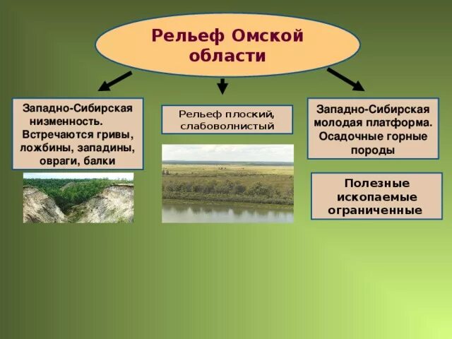 Назовите особенности геологического строения и рельефа. Рельеф Омской области. Характеристика рельефа Омской области. Плоский рельеф. Полезные ископаемые Омской области.