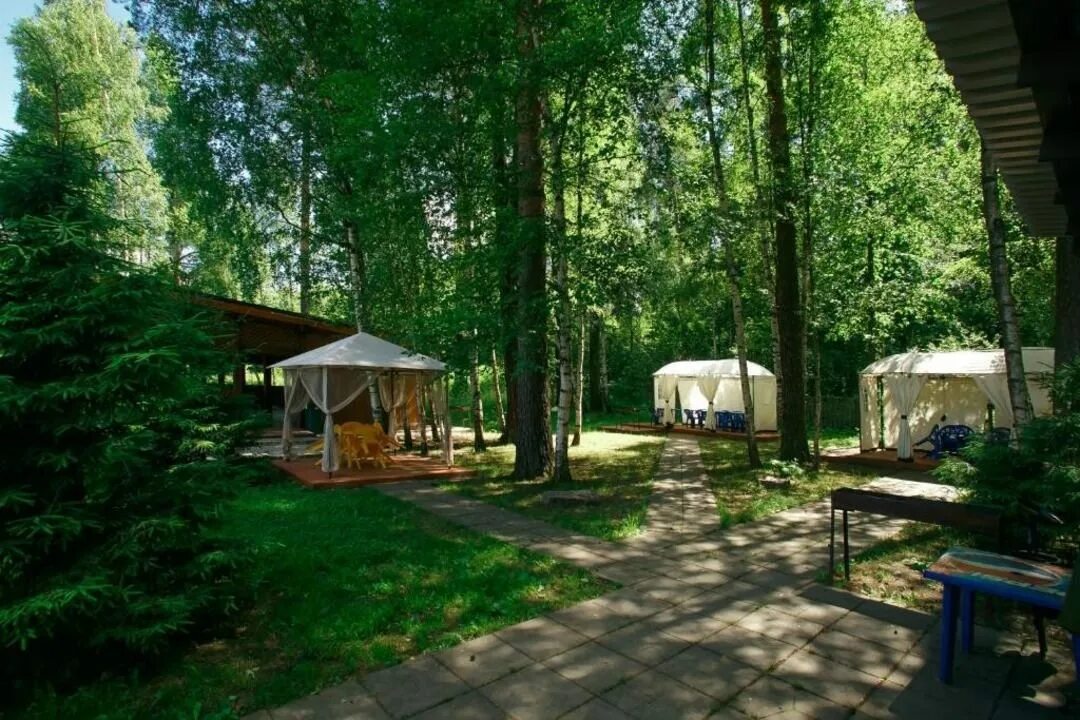 Зеленый городок пушкино. Костино зеленый городок пляж. Санаторий костино зеленый городок. Костино зеленый городок пушкинский район. Санаторий "зелёный городок" пушкинский район, московская область.