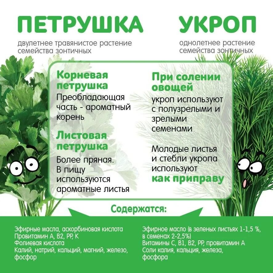 Какие травы можно давать ребенку