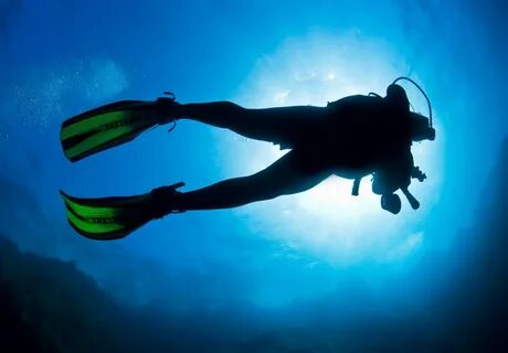 Co high dive