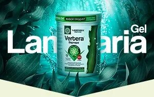Компания vertera