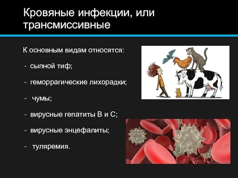 К кровяным инфекциям вирусной этиологии относятся. Профилактика вирусных кровяных инфекций. Кровяные или трансмиссивные инфекции. Трансмиссивные кровяные инфекции клинические проявление.