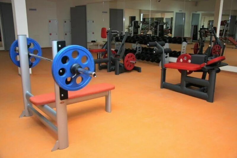 Спортзал климовск. Alex fitness краснодар ставропольская. Alex fitness климовск. Орбита тренажерный зал. Тренажерный зал в подольске улица рощинская.