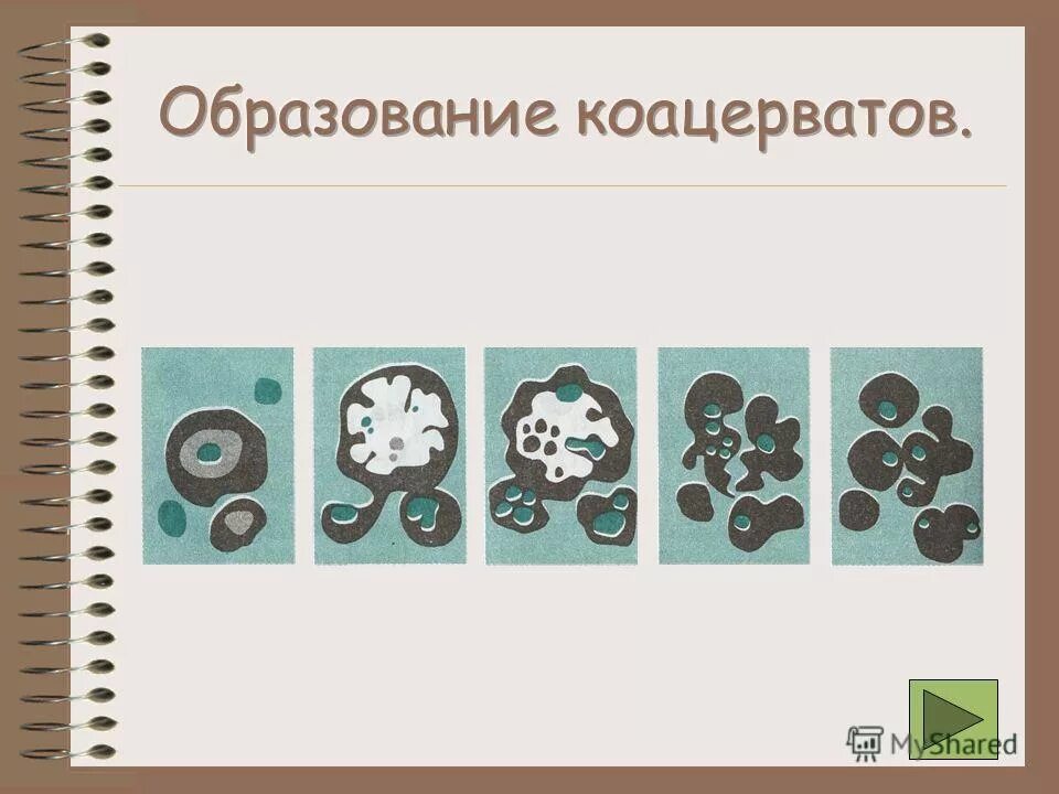 Теория коацерватов Опарина. Образование коацерватов. Формирование коацерватов. Образование коацерватов в воде