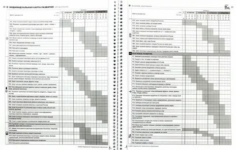 Индивидуальная программа для ребенка дошкольного возраста