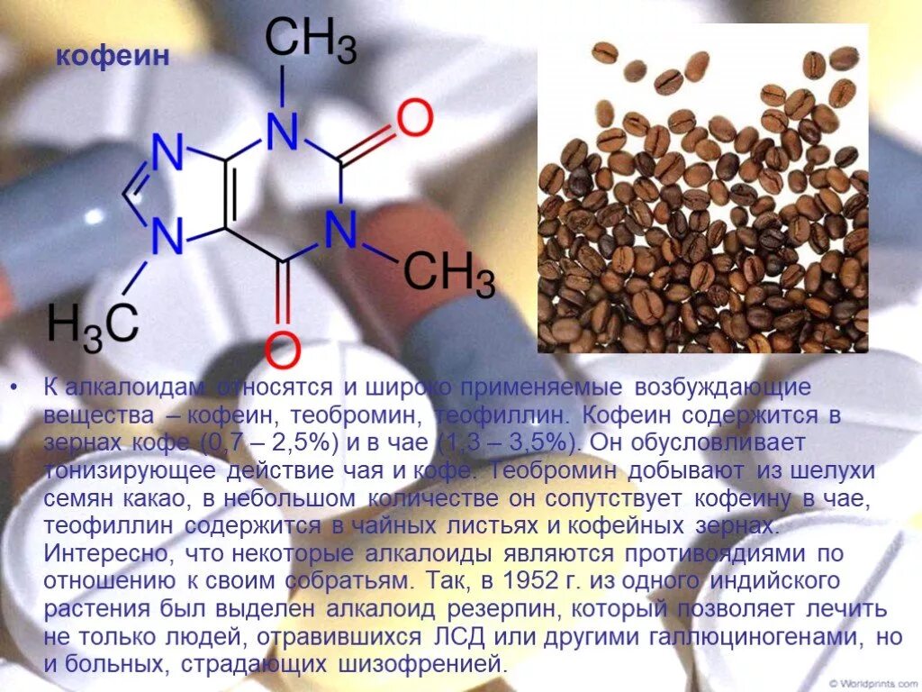 Кофеин взаимодействие. Kafeina. Кофеин. Кофеин алкалоид. В кофе кофеин и теобромин.