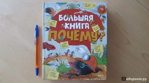 Большая книга почему