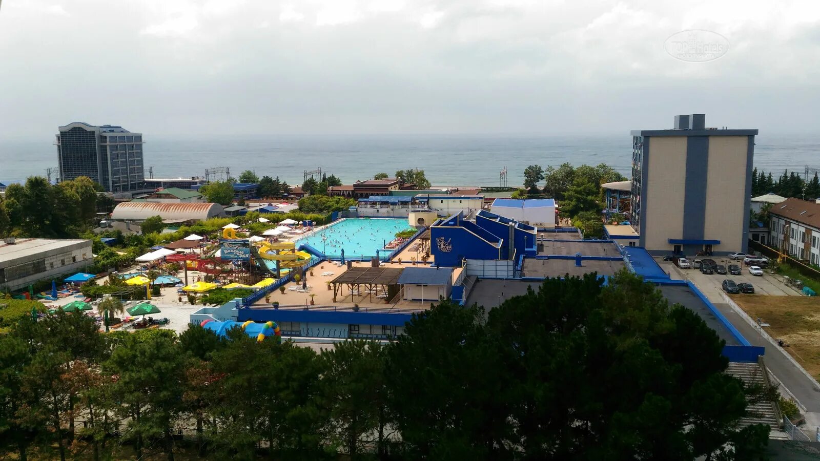 Санаторий адлеркурорт сочи. Адлеркурорт коралл дельфин. Адлеркурорт коралл дельфин. Адлеркурорт сочи дельфин. Коралл пансионат адлеркурорт 3*.