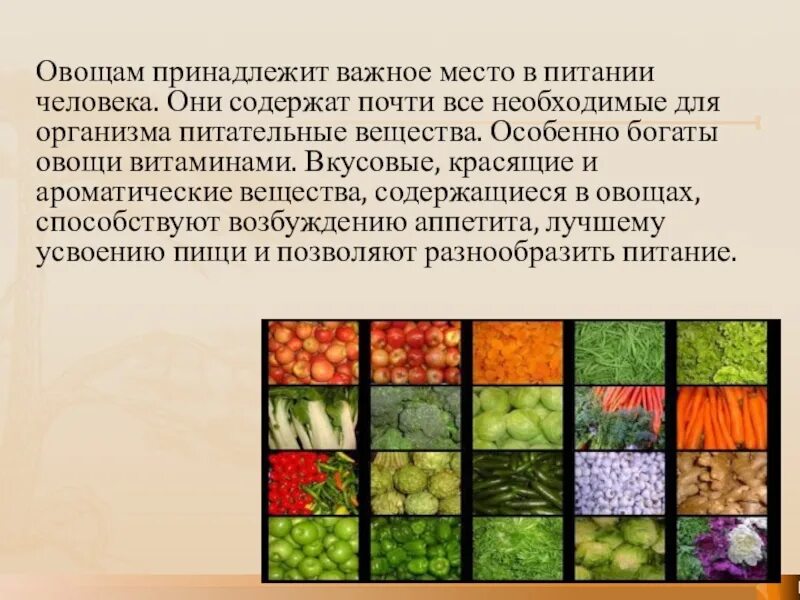 Проект значение овощей в питании человека Загадка про сок, отжатый из фруктов, ягод или овощей