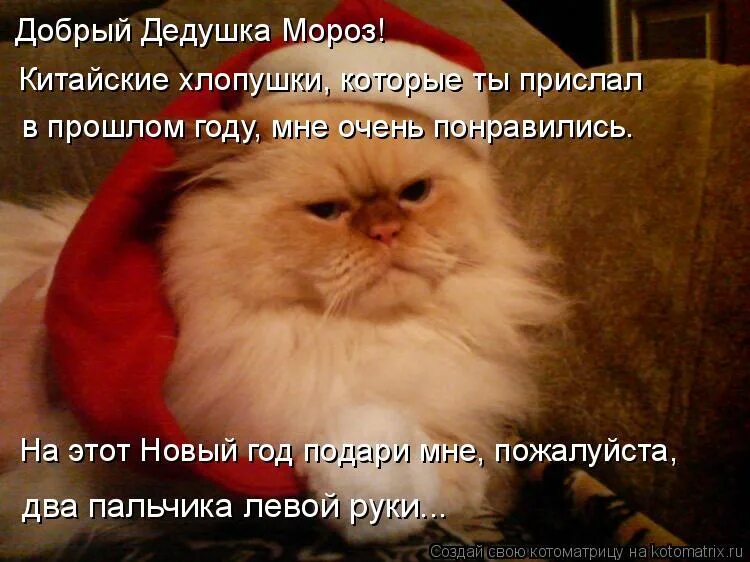 дед мороз подари мне на новый год. дорогой дед мороз подари мне. подари мне юность дедушка мороз забери морщины сало. дедушка мороз подари мне нервную систему. добрый дедушка мороз подари мне.