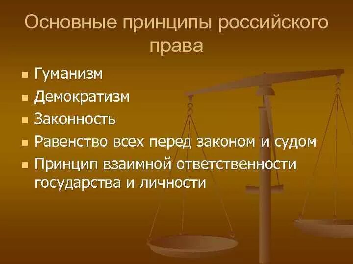 Конституционный принцип гуманизма. Основные принципы российского права. принцип демократизма права. правовые принципы равенство гуманизм законность. принцип гуманизма права.