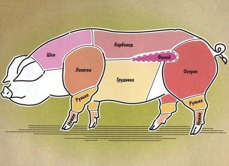 Лучшее мясо свиньи. Части свинины для шашлыка. Свиные части мяса. Часть мяса для шашлыка из свинины. Части сатнби для шашлыка.