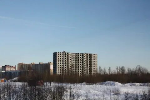 Девяткино сосново сегодня