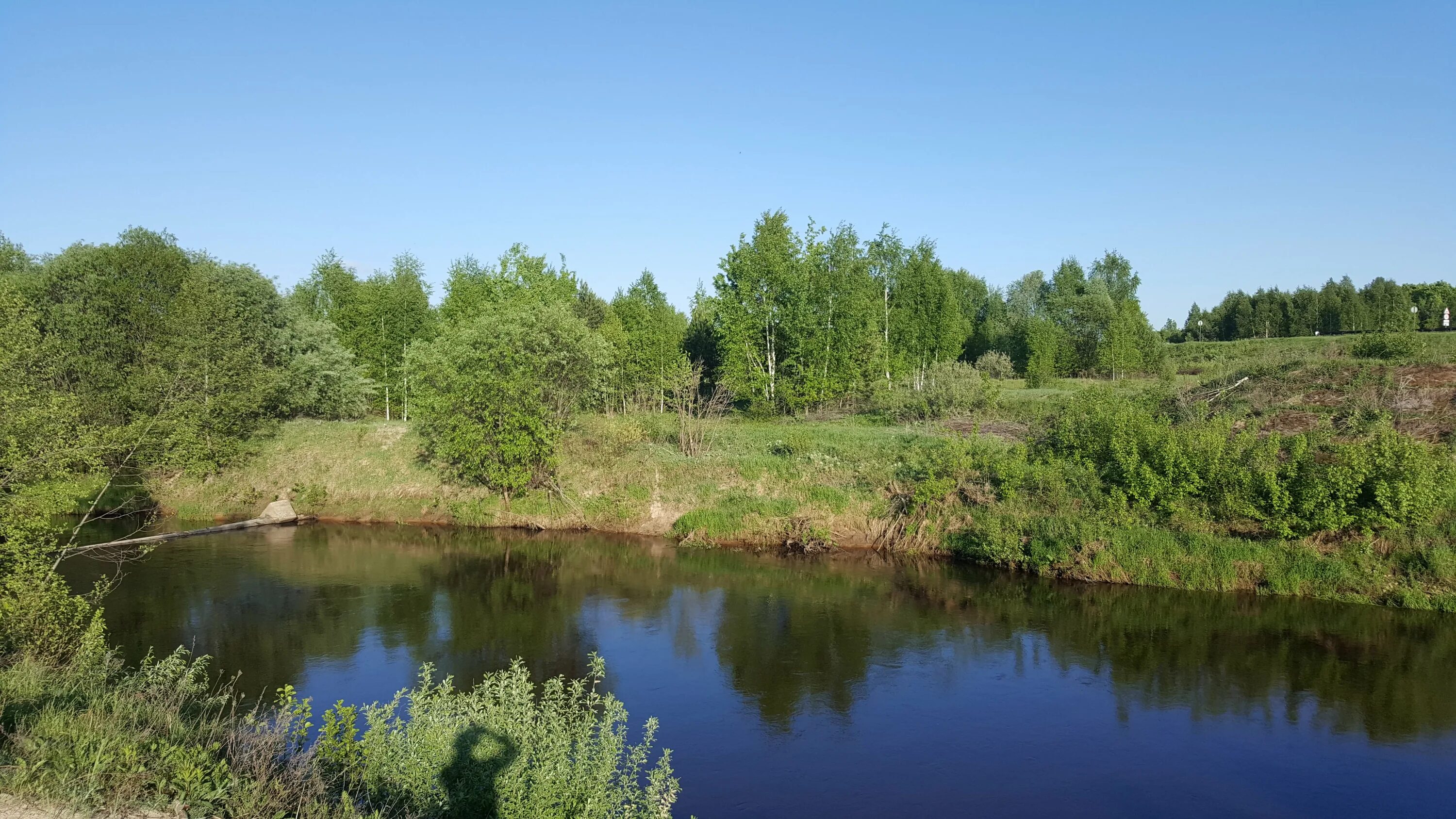 Нижегородская область деревня бор