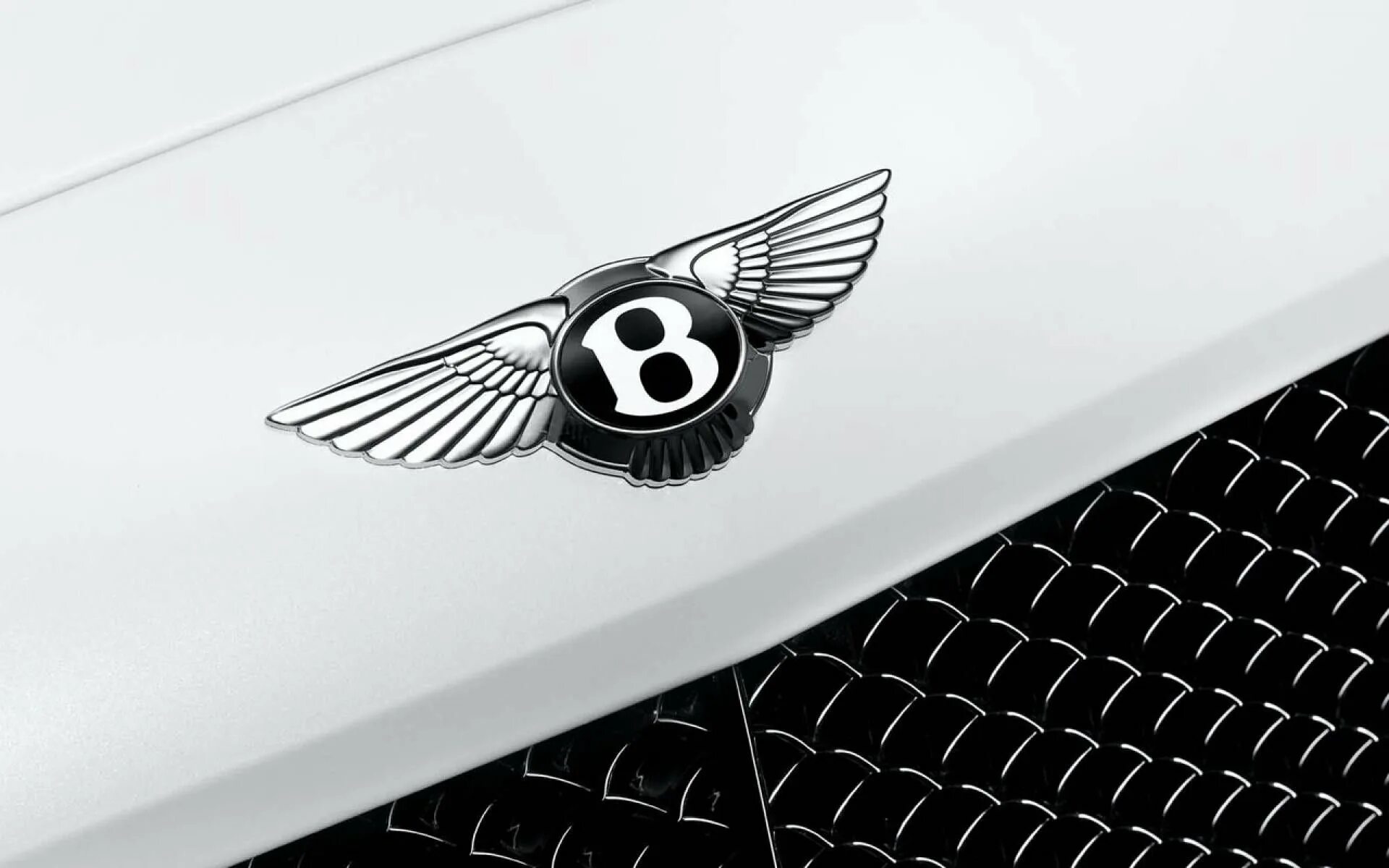 Значок на капоте. Бентли значок сзади. Значки машин Bentley. Фирменный знак Бентли. Бентли значок на капоте.