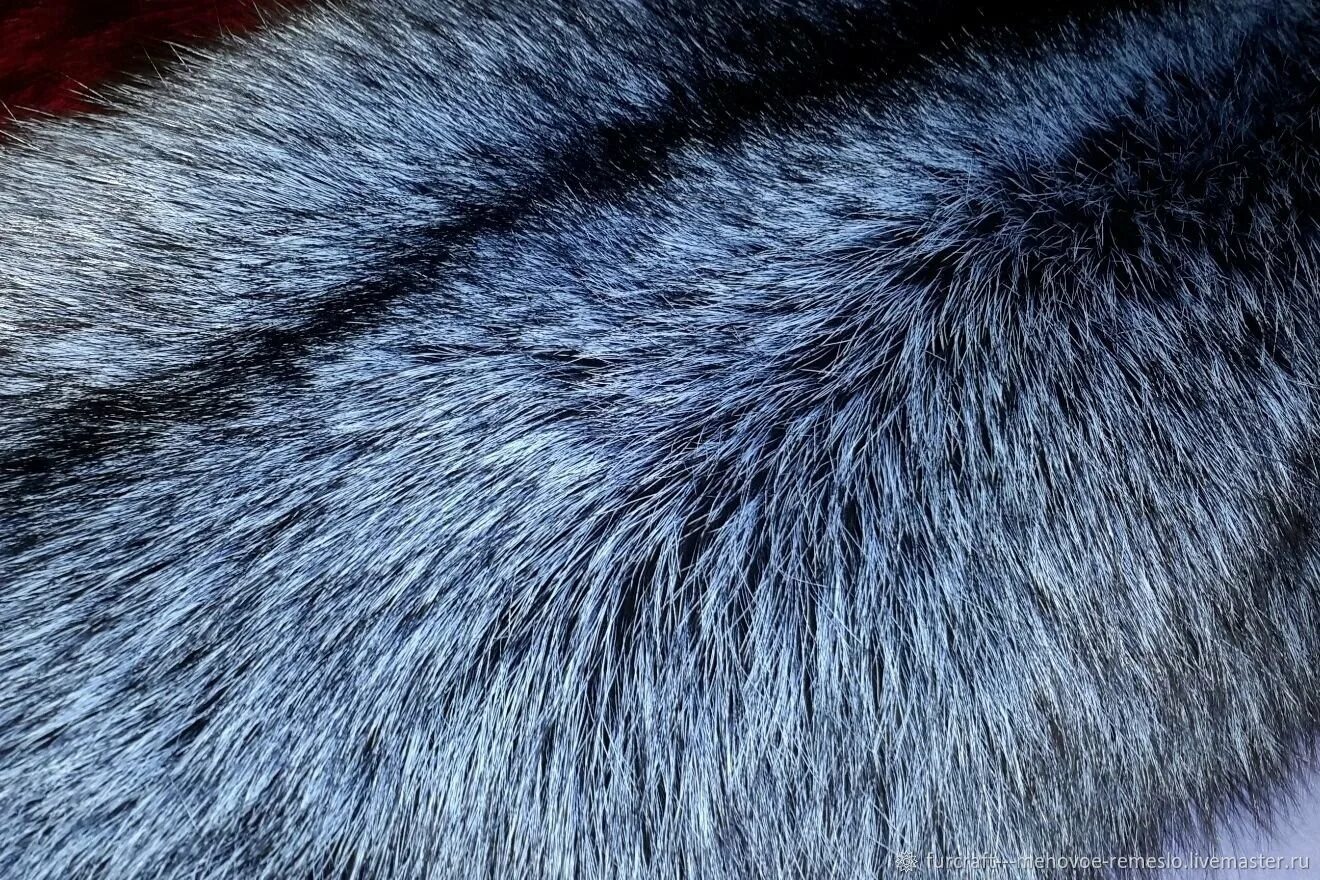 Чернобурка лиса мех. Красивые девушки в шубах. Мех ассоциации. Консультант из кореи. Продавец консультант на бижутерию с грудью.