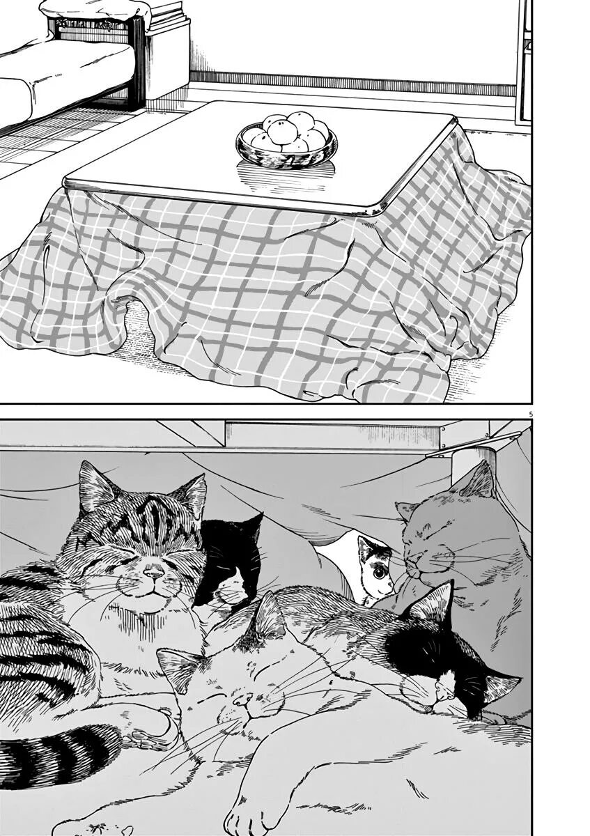 Коллекция дзюндзи ито кот. Кукольная кошка манга. Коты из манги. Дзюндзи ито кошка. Кошка манга.