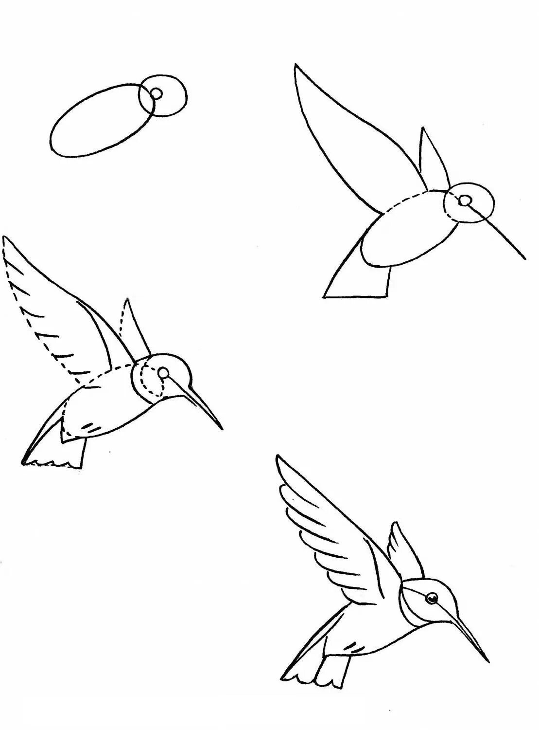 Птица рисунок пошагово. Рисунок птицы карандашом поэтапно. Рисунки птиц карандашом для начинающих. Птица рисунок карандашом для детей. Рисунок птиц карандашом легкие
