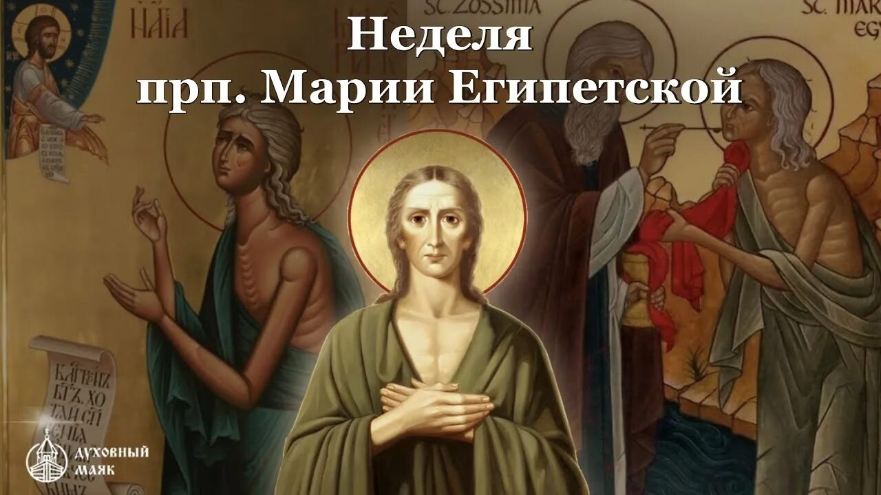 Неделя 5-я великого поста. Неделя преподобной марии египетской. Смысл недели марии египетской воскресенья православие кратко. Неделя марии египетской 2024 год. Стояние преподобной марии египетской икона.