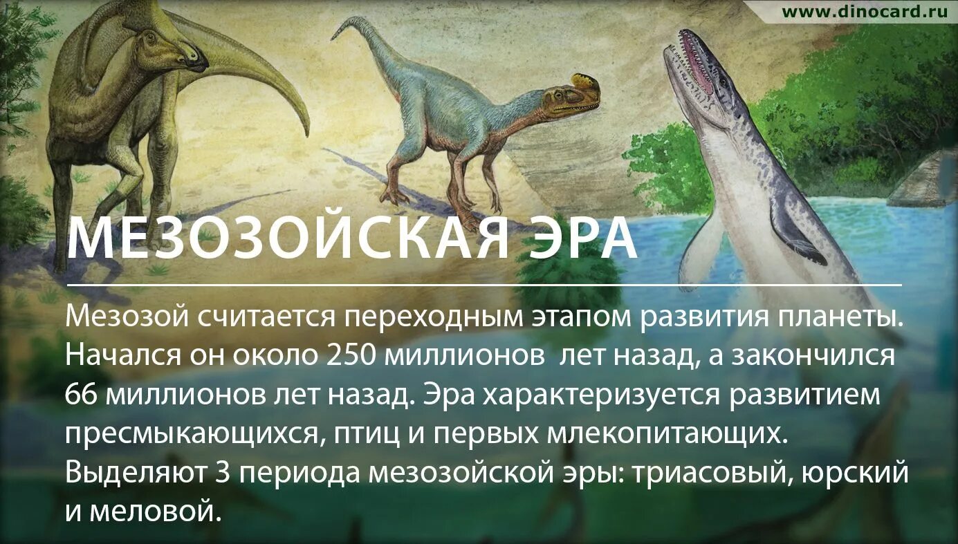 250 млн лет назад какой период. Динозавры мезозоя. Мезозойская Эра Юрский период климат. Мезозойская Эра презентация. Мезозойская Эра этапы развития.