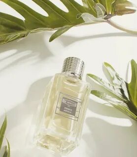 Ex vetiver