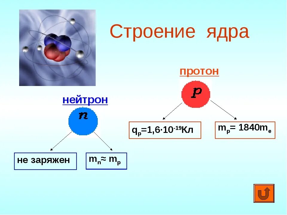 Строение ядра протоны и нейтроны. Строение нейтрона. Строение ядра атома протоны и нейтроны. Строение Протона и нейтрона.