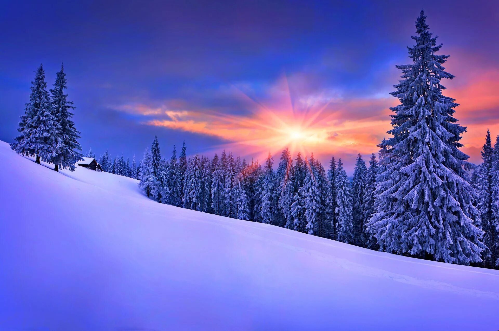 Красивые зимние темы. Зимний пейзаж. Красивая зима. Зимняя природа. Красивый зимний лес.