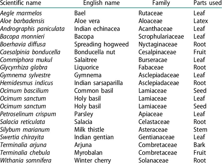 Уникальное английское имя. Английские имена. Красивые английские имена женские. Английские имена на английском. Английские фамилии женские.