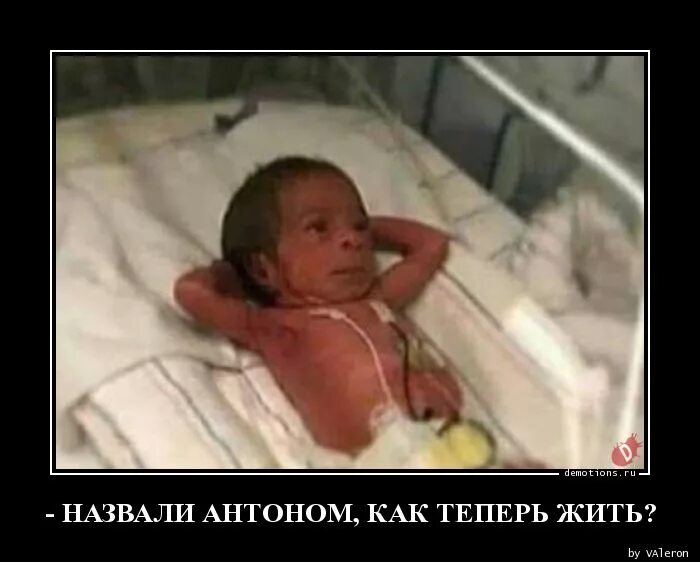 Как теперь жить дальше. Как теперь жить. как назвать антона. как теперь жить картинка.