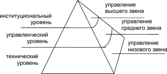 Институциональная организация общества. Институциональный уровень управления. Технический уровень управления. . Схематическое изображение основных уровней управления. Институциональный уровень функции управления.