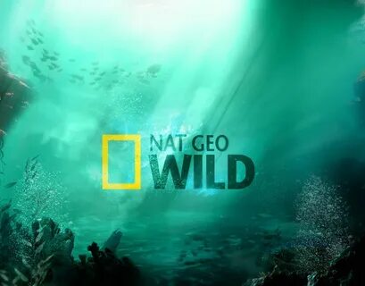 Nat geo wild