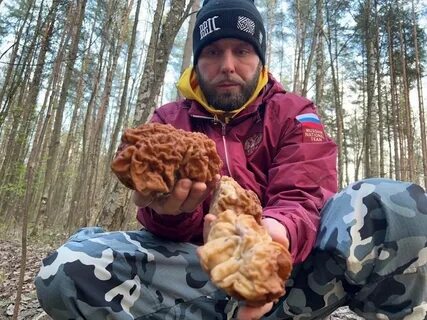 Ну собрал
