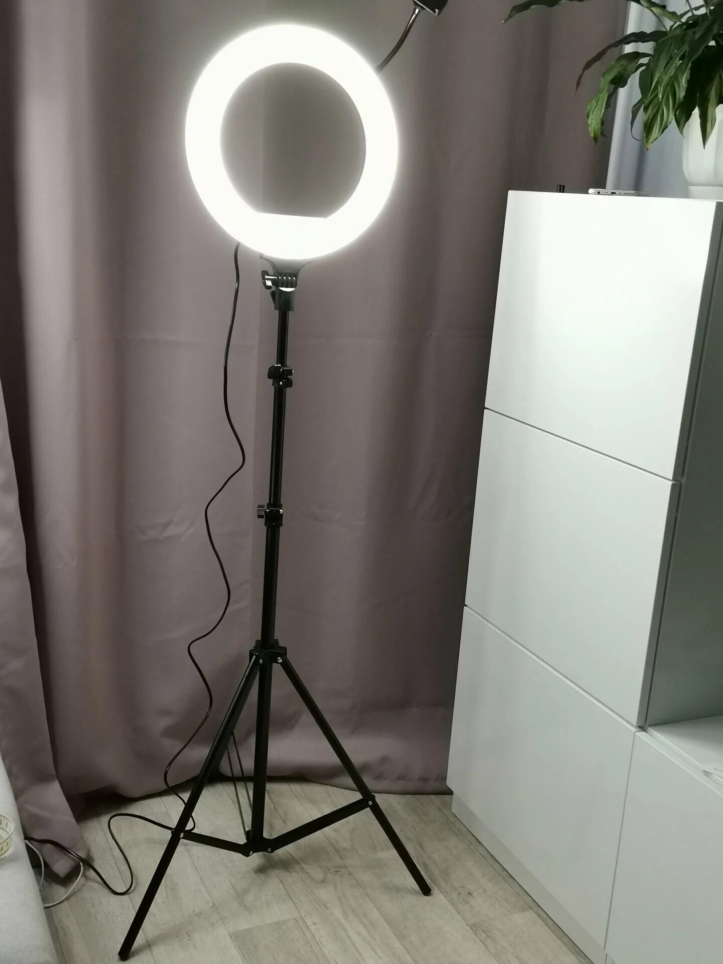 кольцевая напольная лампа. кольцевые напольные лампы. Ring light rl-w60 led. кольцевая лампа xk-818a. кольцевая лампа 45 ргб.