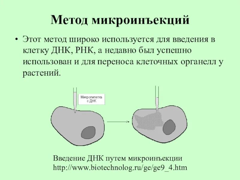 Методы введения днк. Метод пронуклеарной микроинъекции. Микроинъекции ДНК. Метод микроинъекций ДНК. Методы введения ДНК В клетку.