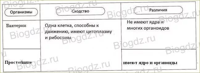 Бактерии и простейшие сходства и различия. Сходство бактерий и простейших. Сходство и различие бактерий. Бактерии сходство и различия с простейшими таблица. Простейшие сходства и различия