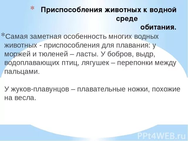 Морж приспособление к среде обитания. Приспособления моржа к водной среде. Черты приспособленности к среде обитания моржа. Приспособления моржа к водной среде обитания.