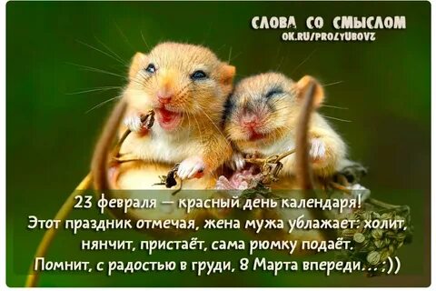 Будет красен день