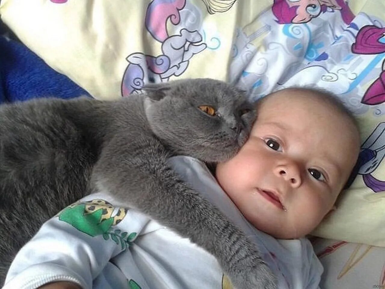 Кот спавший ребенка. Кот спавший ребенка