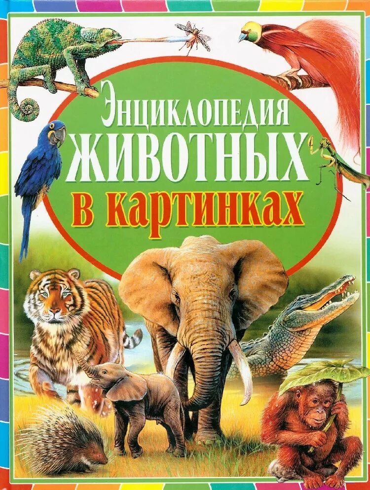 Энциклопедии. Детская энциклопедия картинки. Большая энциклопедия в картинках росмэн. Энциклопедия в картинках. Энциклопедия в картинках.