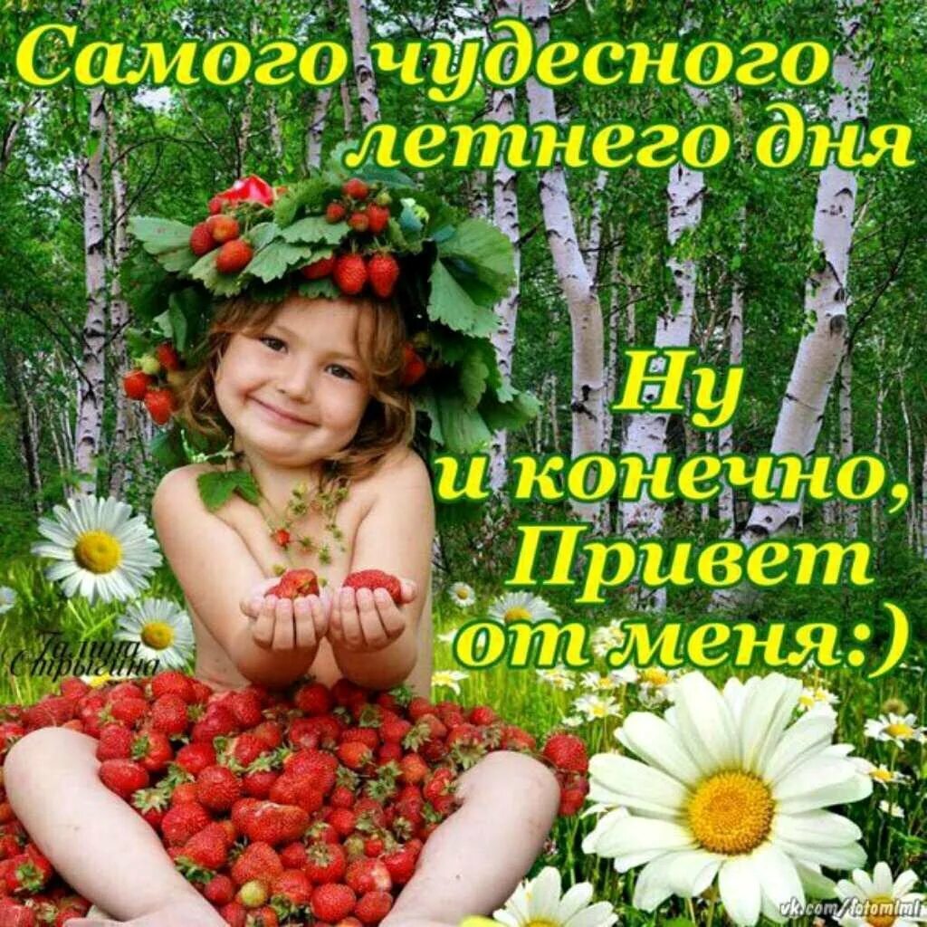 Привет здоровья и хорошего. Хорошего летнего дня. открытки летнего настроения. открытки хорошего летнего дня. яркого дня и хорошего настроения.