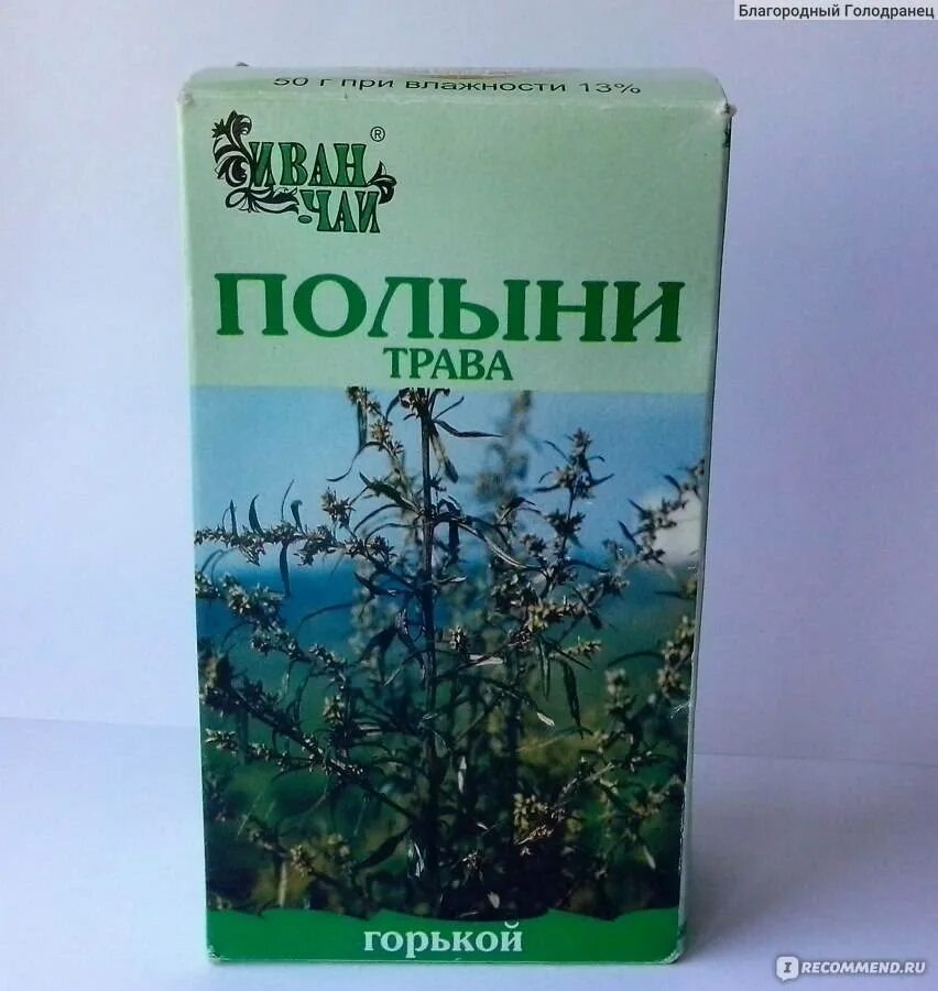 Настой из полыни. Полынь чай. Полынь горькая отвар. Настой полынь. Полынь горькая чай.