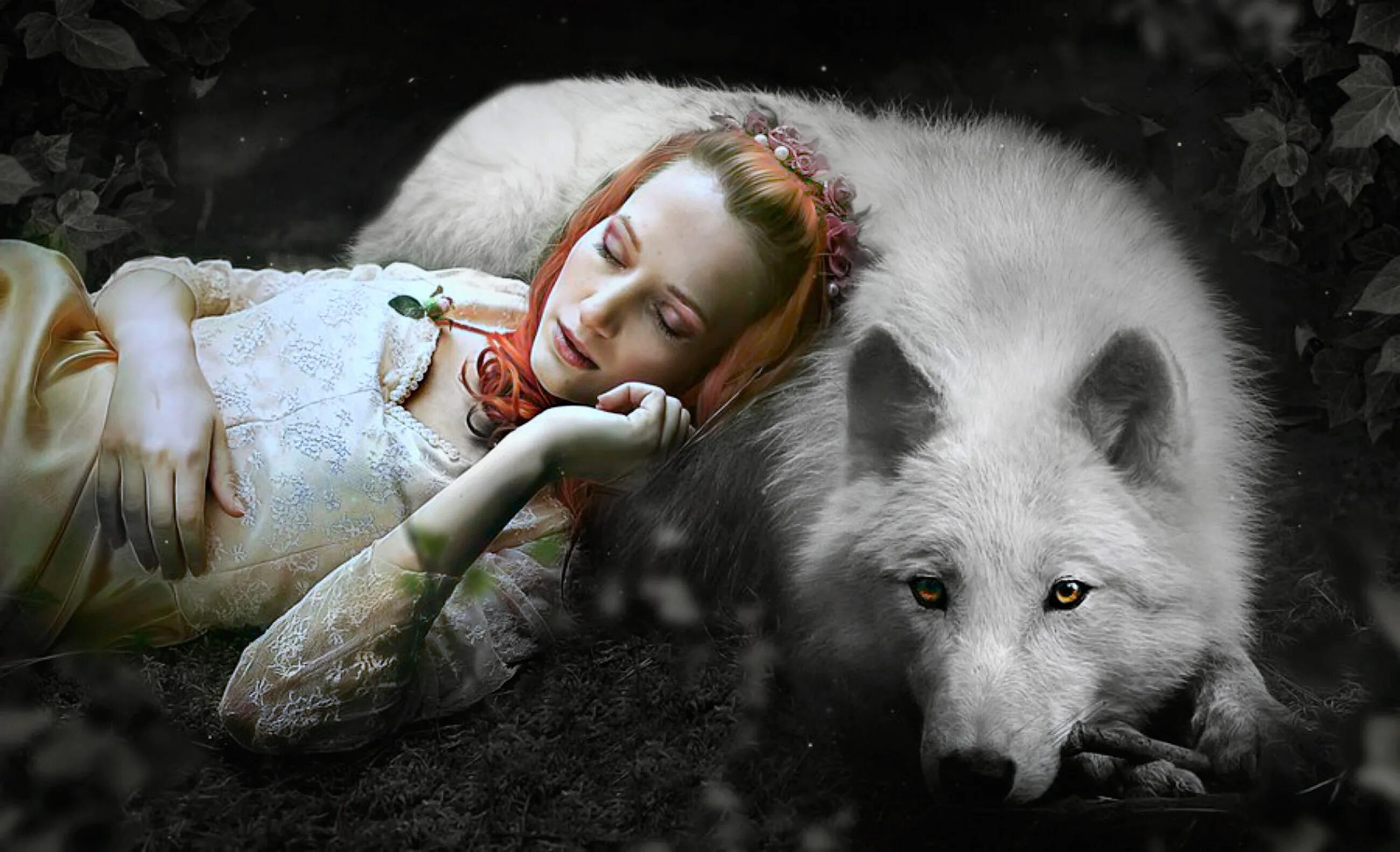 девочка белый волк. волчица и девушка. девушка с волком. люси кицунэ. девушка с волком.