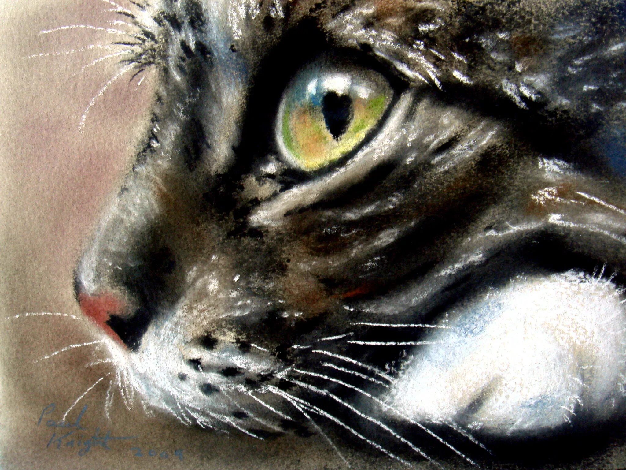 у кошки мурлетты сыночек мурмурка. маша мурмуркина. милн.