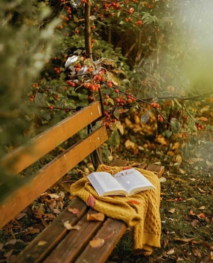 Подборка осенних книг