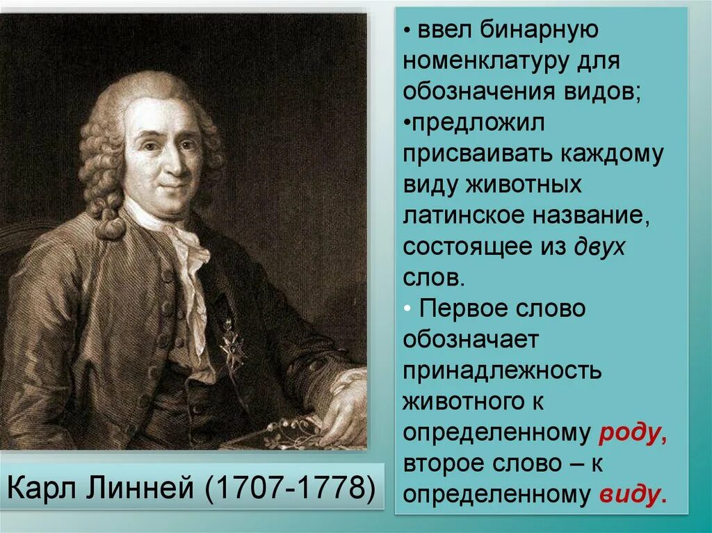 Бинарная номенклатура видов это. Ввел бинарную номенклатуру. Двойное название для обозначения видов