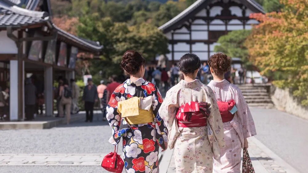 Храм ямадэра japan. Japan tourist. Япония туризм. Japan tourist. Хасецу в японии.