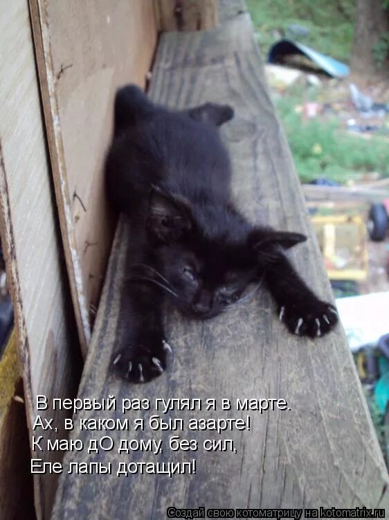 раз гуляя по лесу я забрел так далеко что чуть чуть не заблудился. раз погуляем. мемы про серьезные отношения. смешные собаки мемы. пальчиковая гимнастика зимние забавы.
