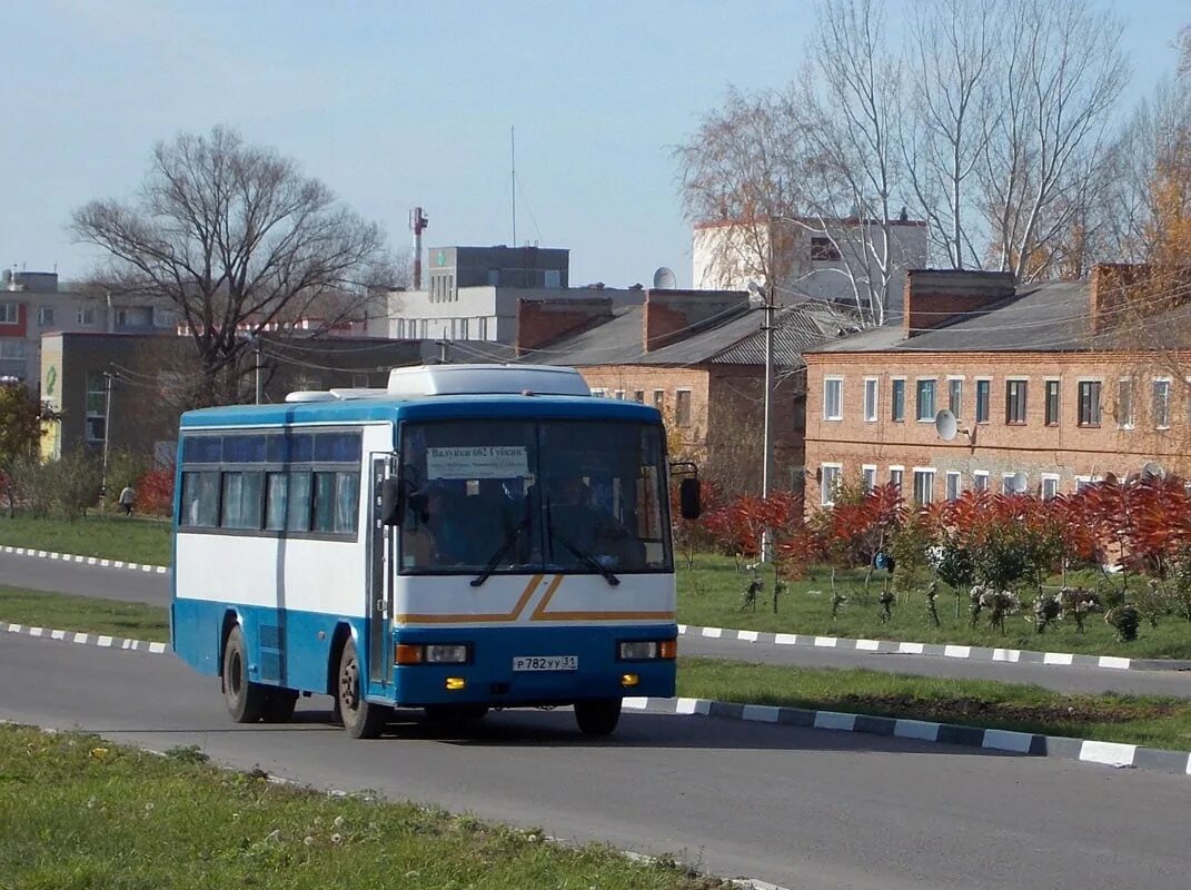 Автовокзал валуйки. Валуйки белгородская область автостанция. Автостанция валуйки телефон. Автостанция валуйки. Валуйки привокзальная площадь 107/4.