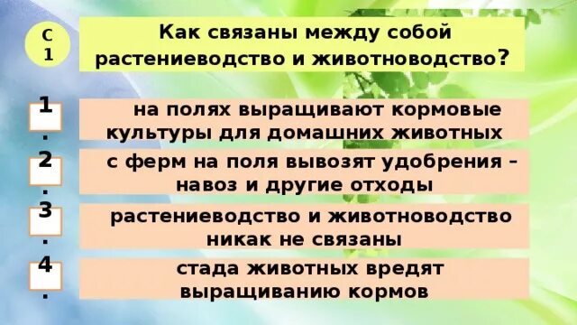 Как связаны Растениеводство и животноводство. Как связано между собой Растениеводство и животноводство. Как связаны между собой Растениеводство и животноводство. Как связаны между собой Растениеводство и промышленность. Схема связи растениеводства и животноводства и промышленности